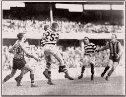 ���� ������, ����� � ���������